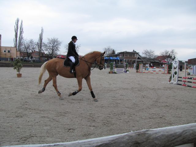 Kopie - IMG_0320.jpg