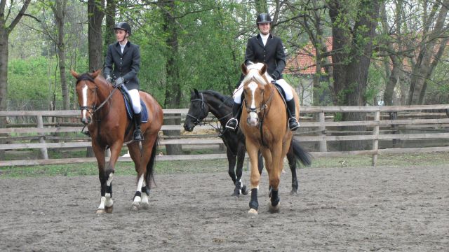 Kopie - IMG_0420.jpg