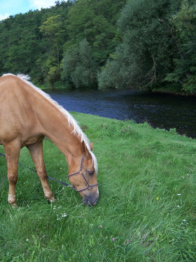 28.08.2010 - 100_1699.JPG