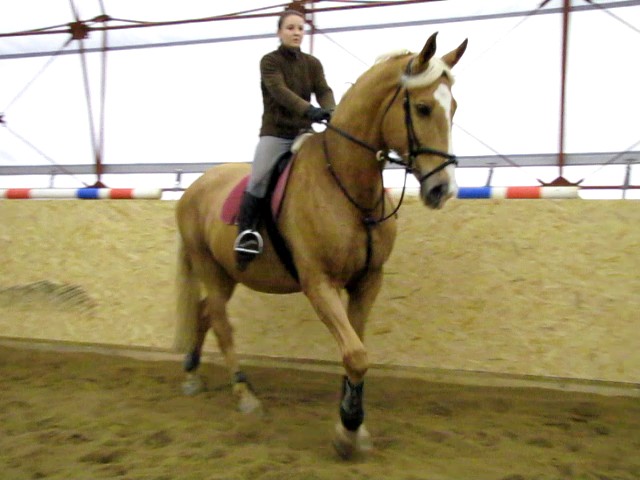 bscap0009.jpg