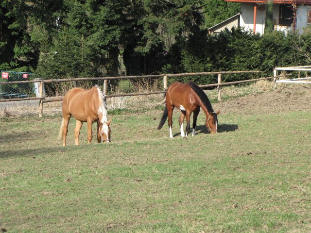 Kopie - IMG_0354.jpg