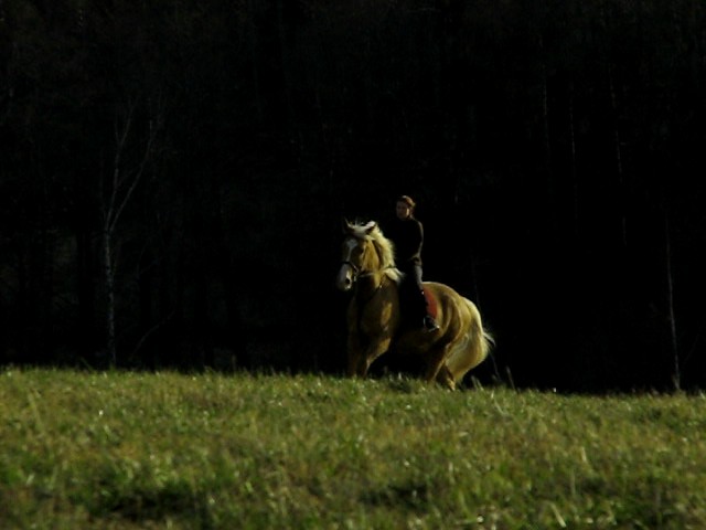 05.jpg